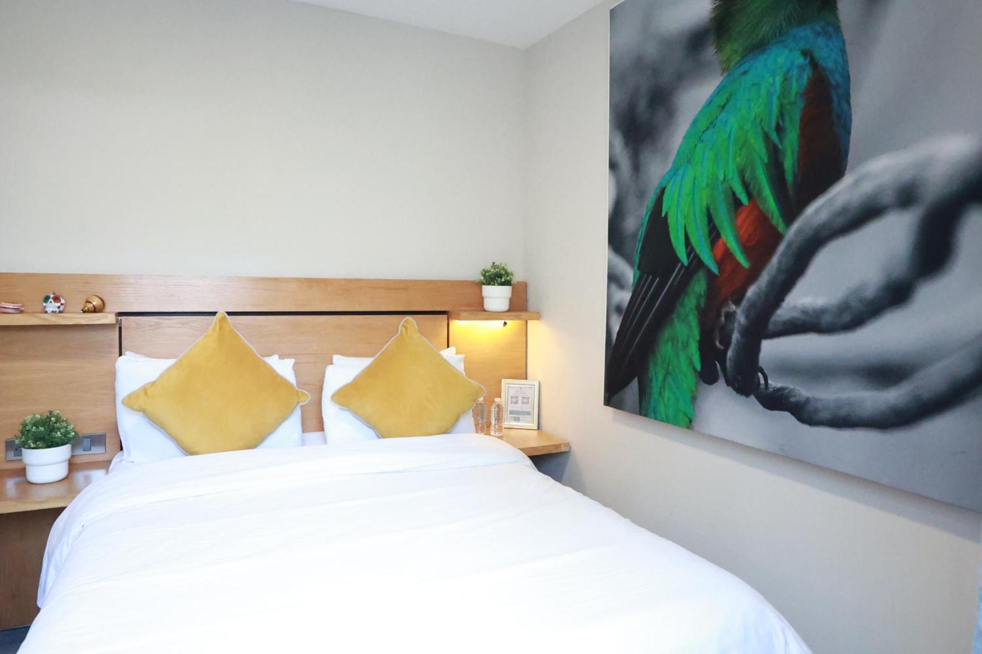 Casa Panuco Bed & Breakfast Meksika Dış mekan fotoğraf