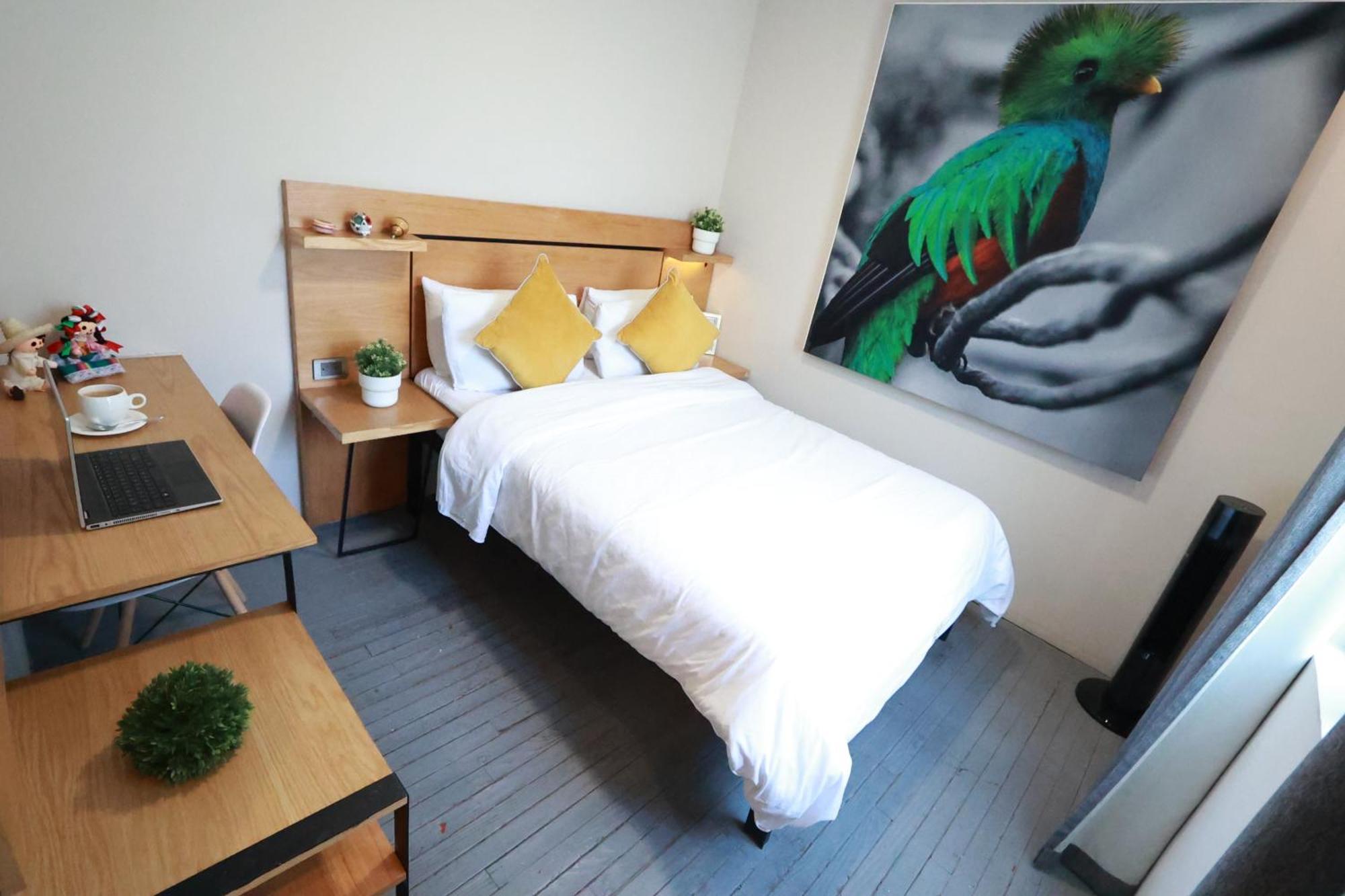 Casa Panuco Bed & Breakfast Meksika Dış mekan fotoğraf