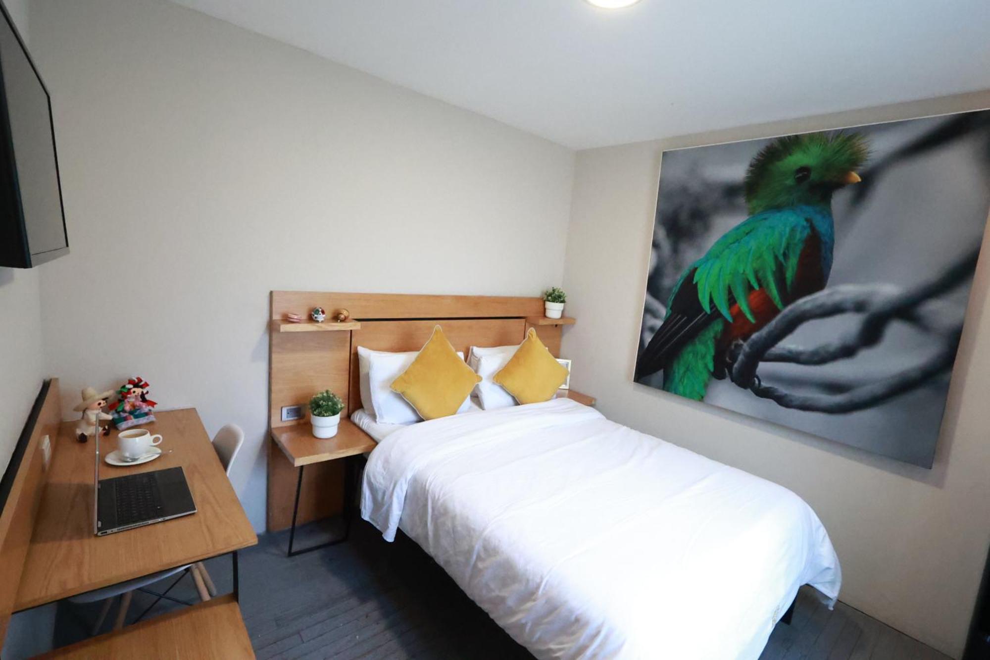 Casa Panuco Bed & Breakfast Meksika Dış mekan fotoğraf